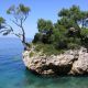 1263921_91820147(Insel)
